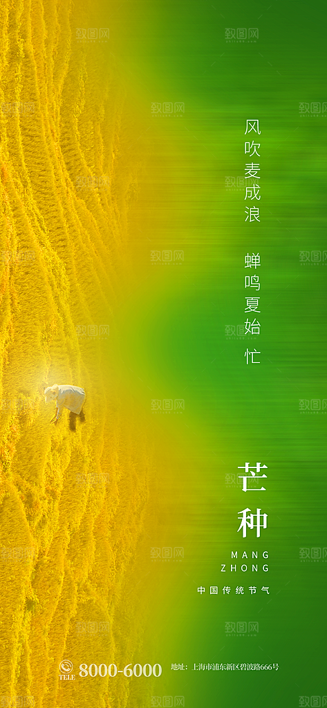 中国传统二十四节气芒种节气宣传海报