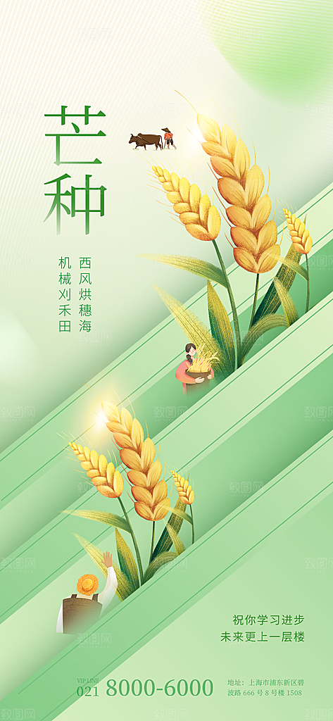 中国传统二十四节气芒种节气宣传海报