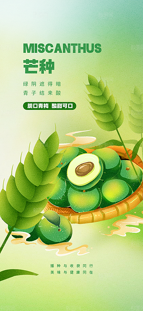 中国传统二十四节气芒种节气宣传海报