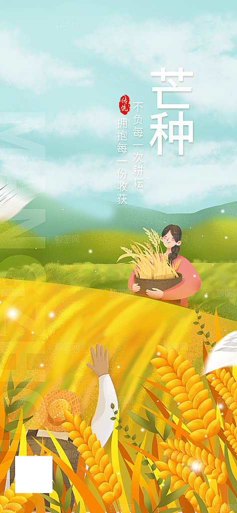 中国传统二十四节气芒种节气宣传海报