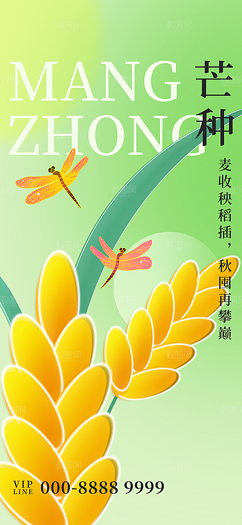 中国传统二十四节气芒种节气宣传海报