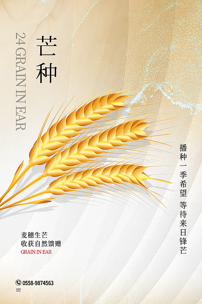 中国传统二十四节气芒种节气宣传海报