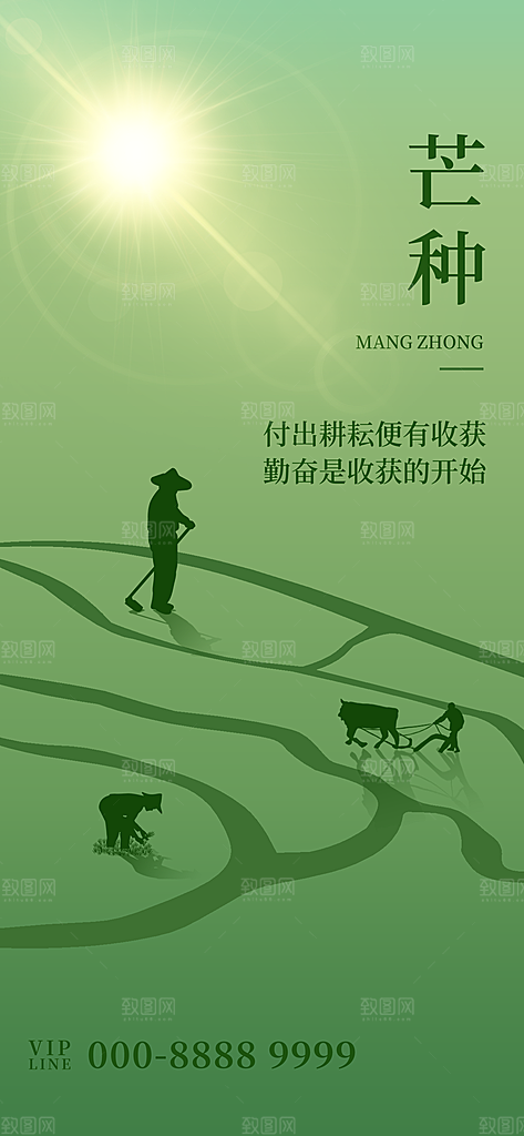 中国传统二十四节气芒种节气宣传海报