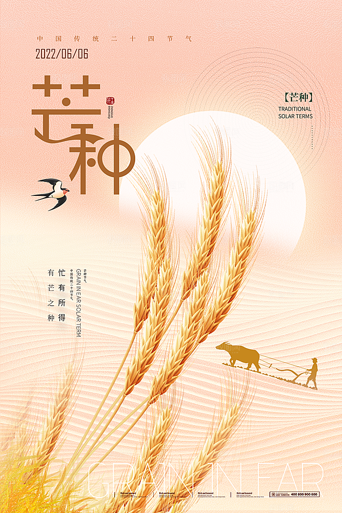中国传统二十四节气芒种节气宣传海报