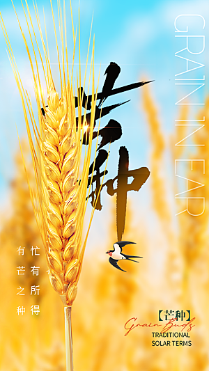 中国传统二十四节气芒种节气宣传海报