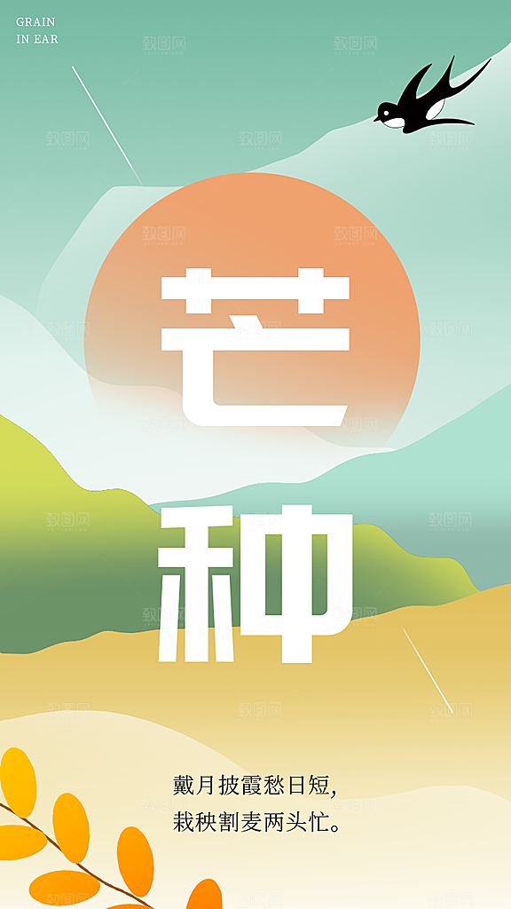中国传统二十四节气芒种节气宣传海报