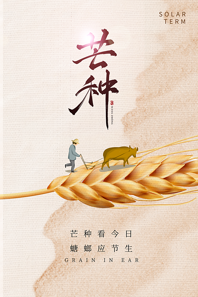 中国传统二十四节气芒种节气宣传海报