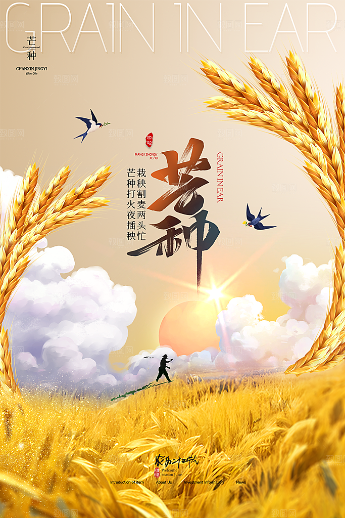 中国传统二十四节气芒种节气宣传海报