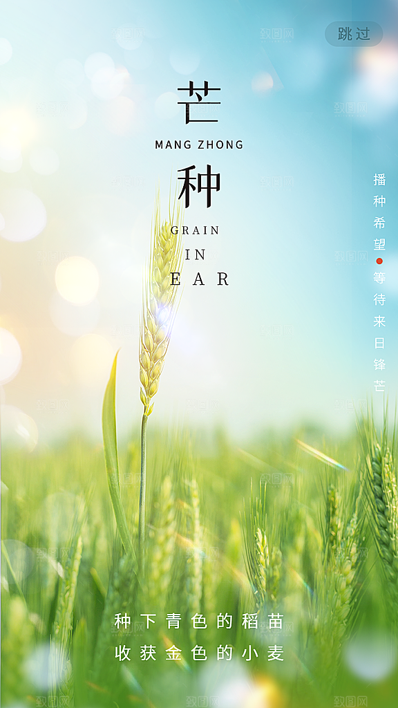 中国传统二十四节气芒种节气宣传海报