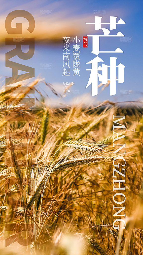 中国传统二十四节气芒种节气宣传海报