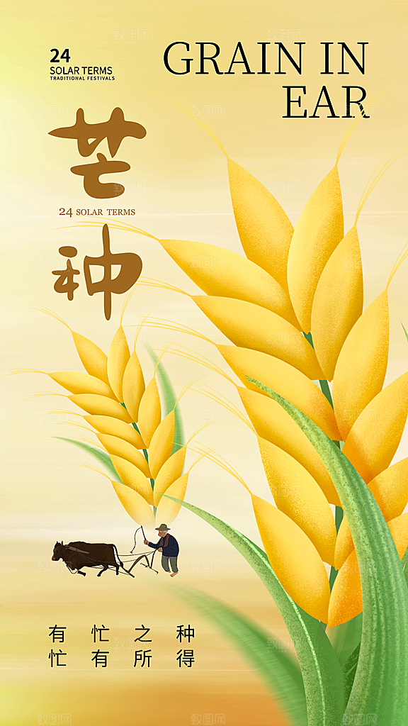 中国传统二十四节气芒种节气宣传海报