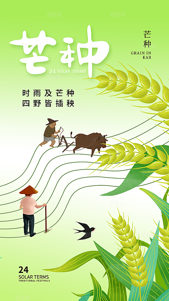 中国传统二十四节气芒种节气宣传海报