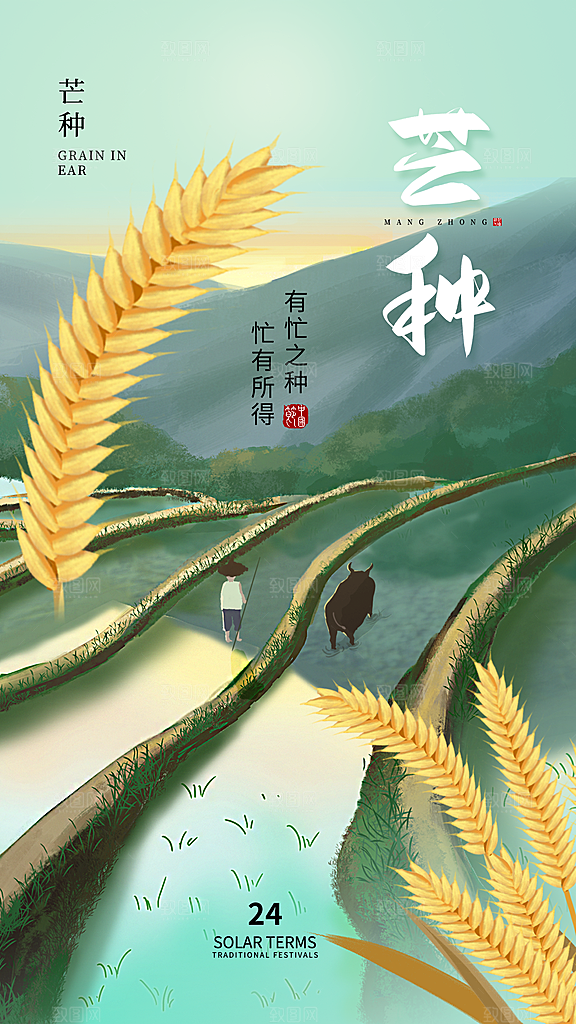 中国传统二十四节气芒种节气宣传海报