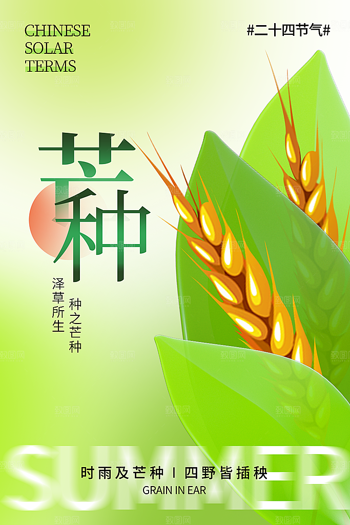 中国传统二十四节气芒种节气宣传海报