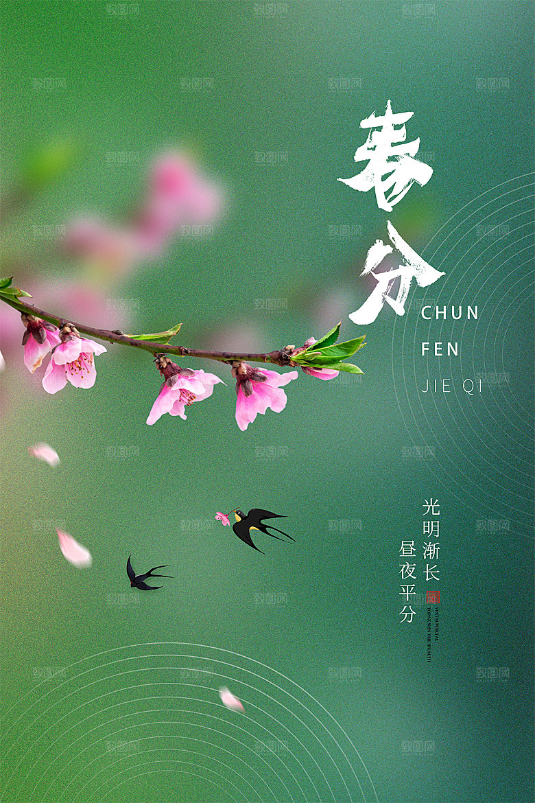 春分节气简约大气海报