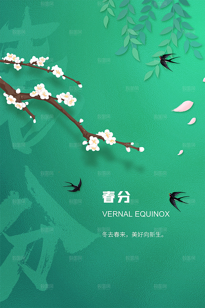 春分节气简约大气海报