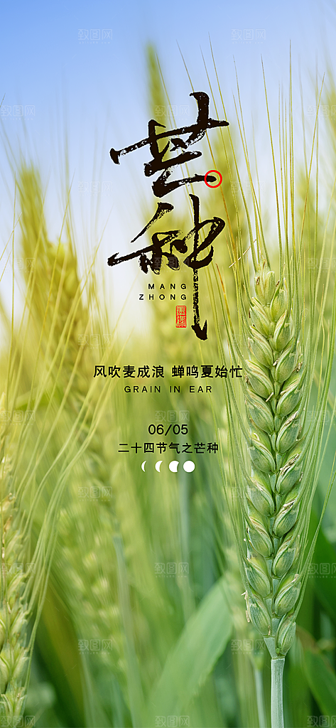 中国传统二十四节气芒种节气宣传海报