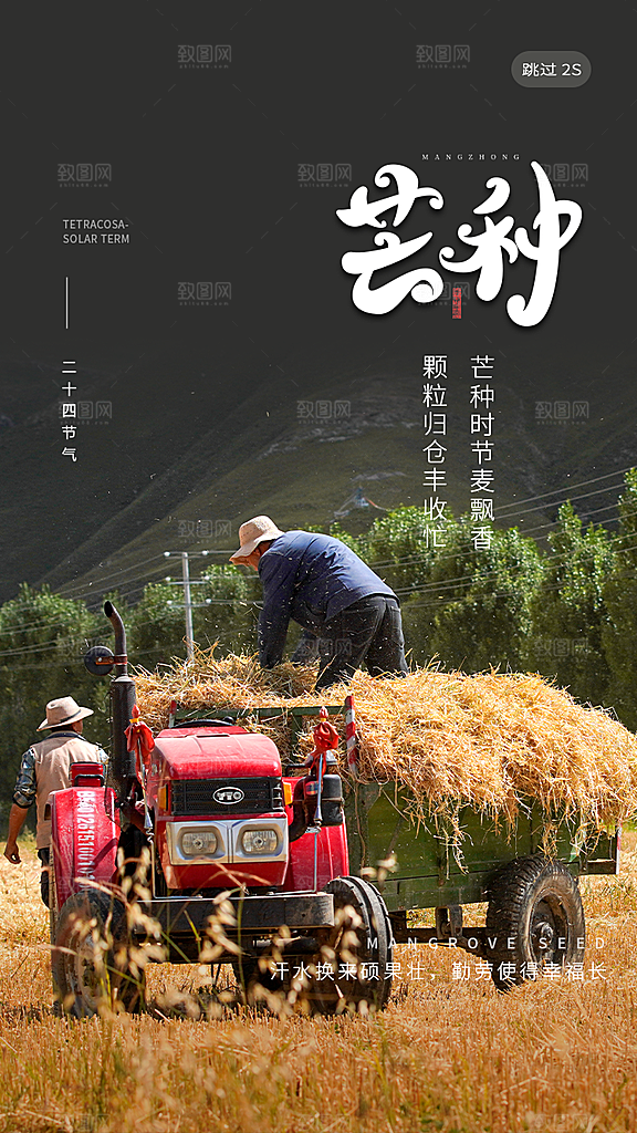 中国传统二十四节气芒种节气宣传海报