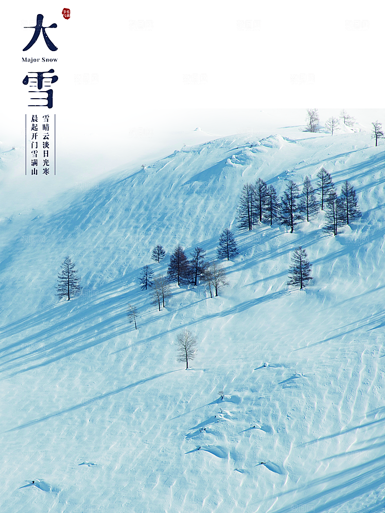 中国传统二十四节气大雪节气宣传海报