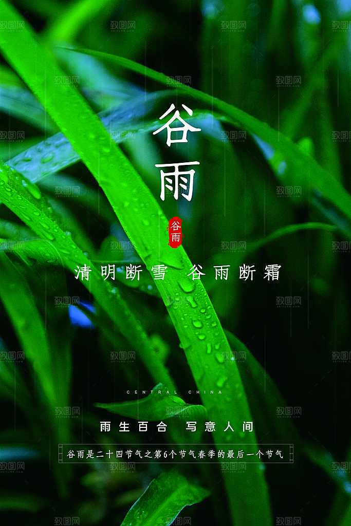 酷炫谷雨节气宣传海报