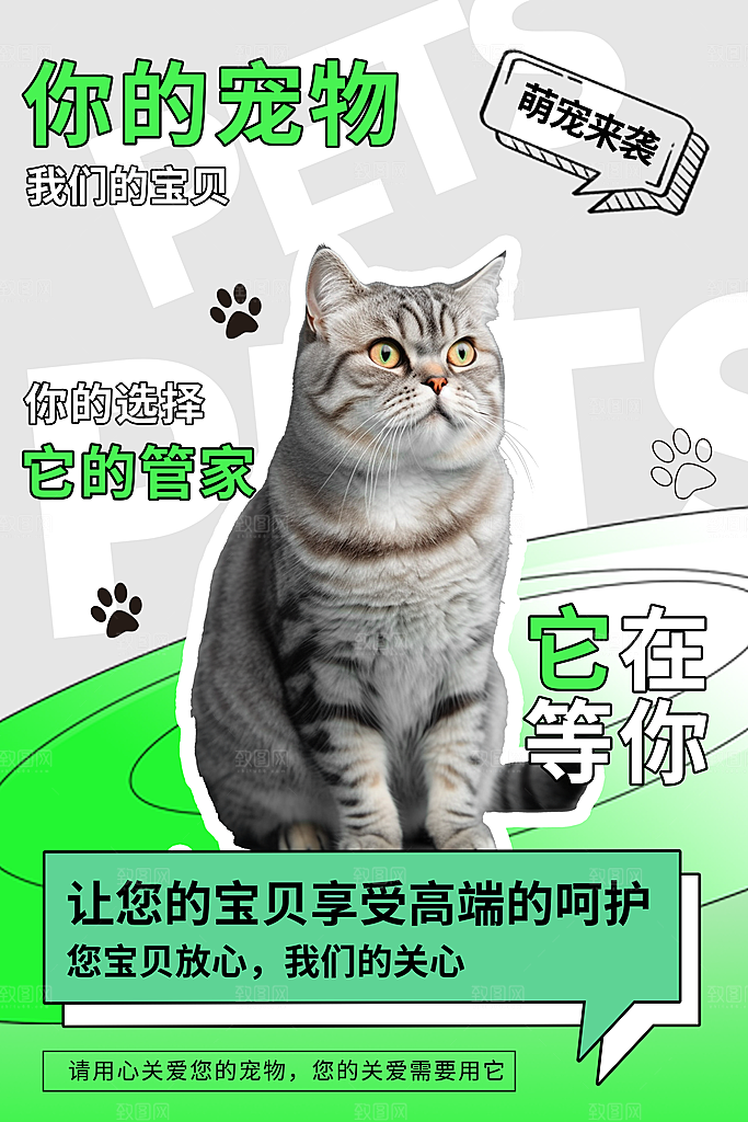 简约大气创意宠物活动宣传海报