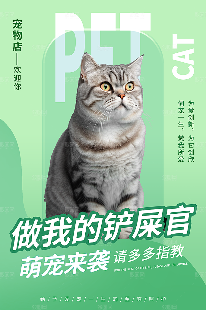 简约大气创意宠物活动宣传海报