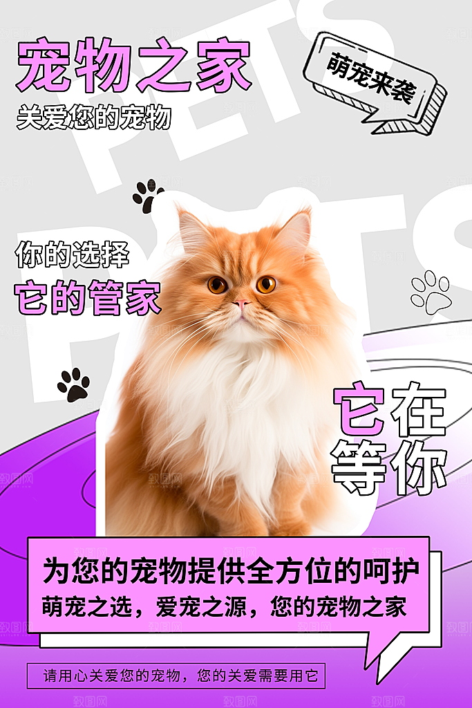 卡通宠物萌宠活动宣传海报