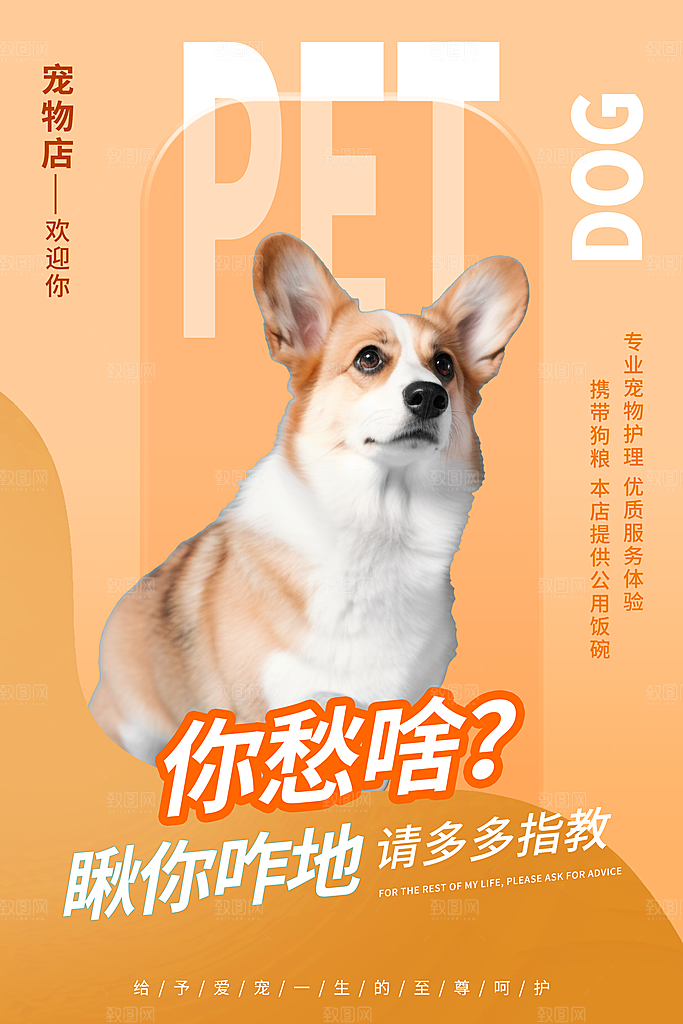 卡通宠物萌宠活动宣传海报