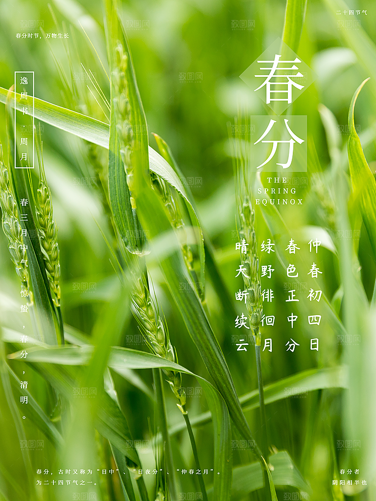 传统节气春分海报模板