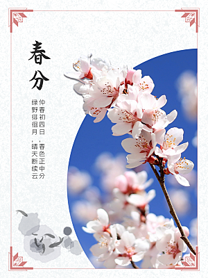 春分节气简约大气海报