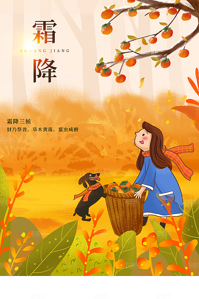 简约霜降节日节气海报