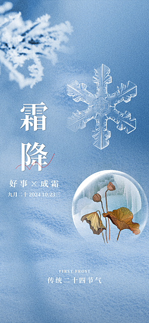 霜降雪花蓝色简约全屏海报