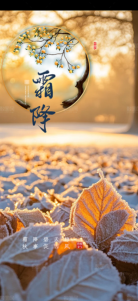 传统二十四节气霜降宣传活动海报