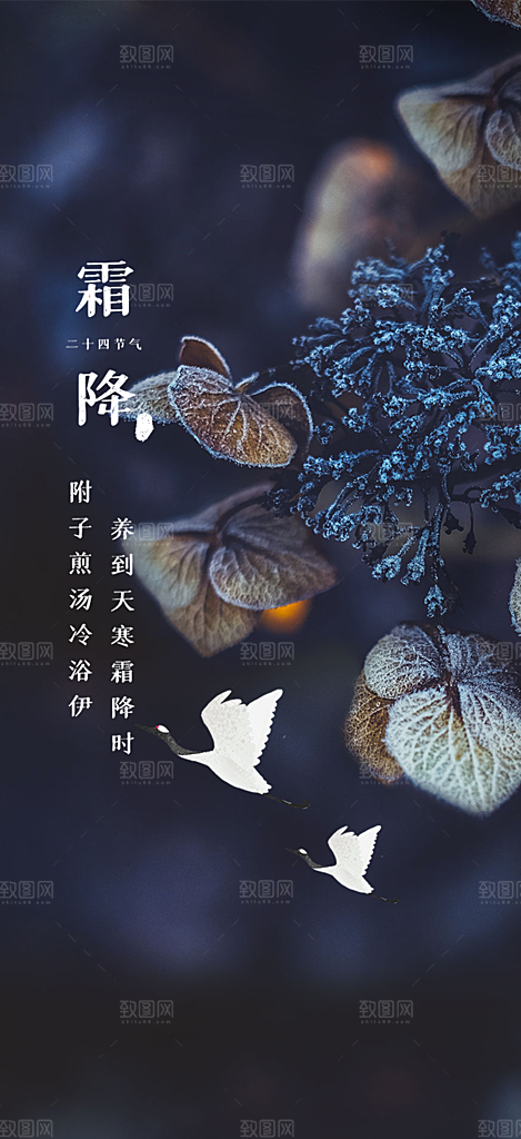 传统二十四节气霜降宣传活动海报