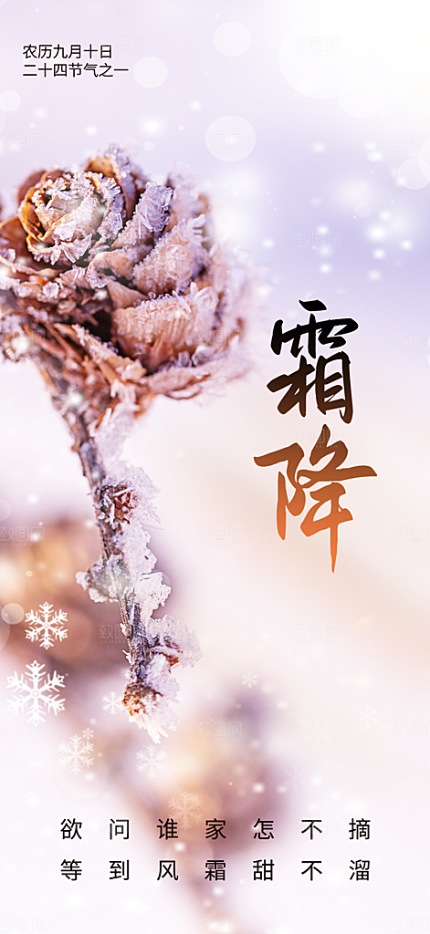 传统二十四节气霜降宣传活动海报