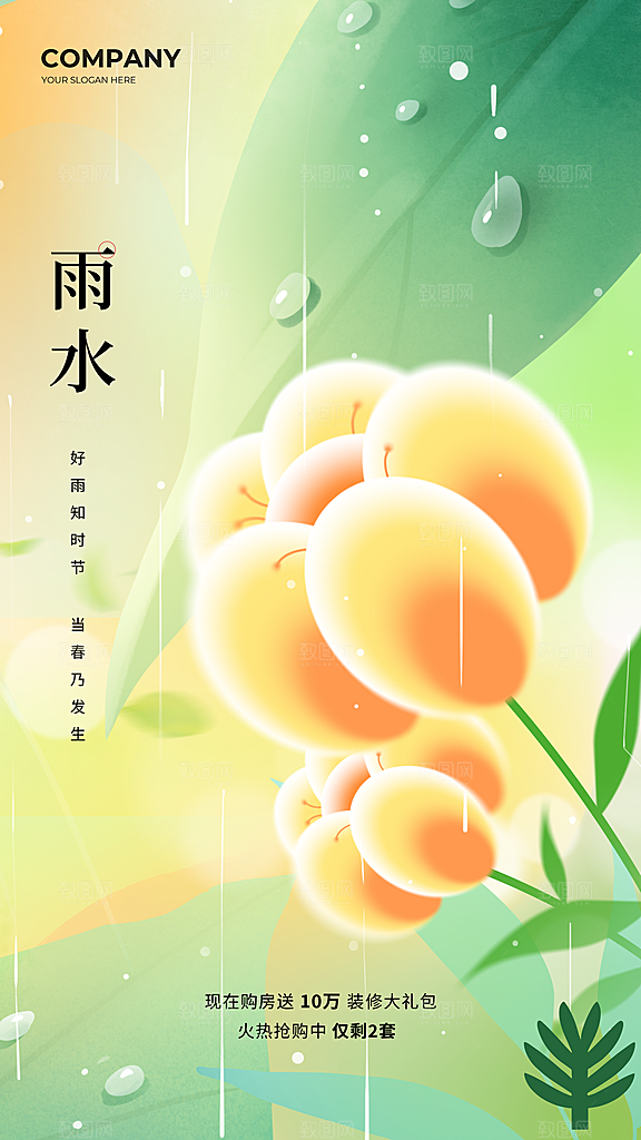 传统节气雨水海报模板