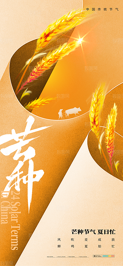 中国传统二十四节气芒种节气宣传海报