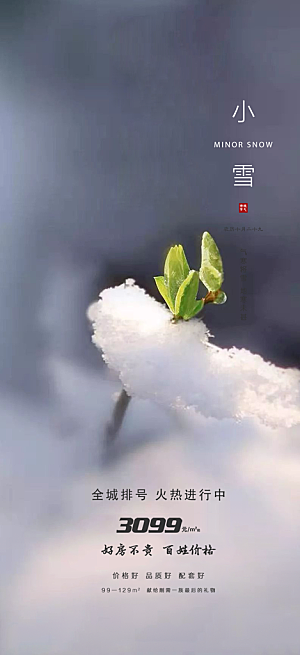 传统二十四节气大雪宣传活动海报