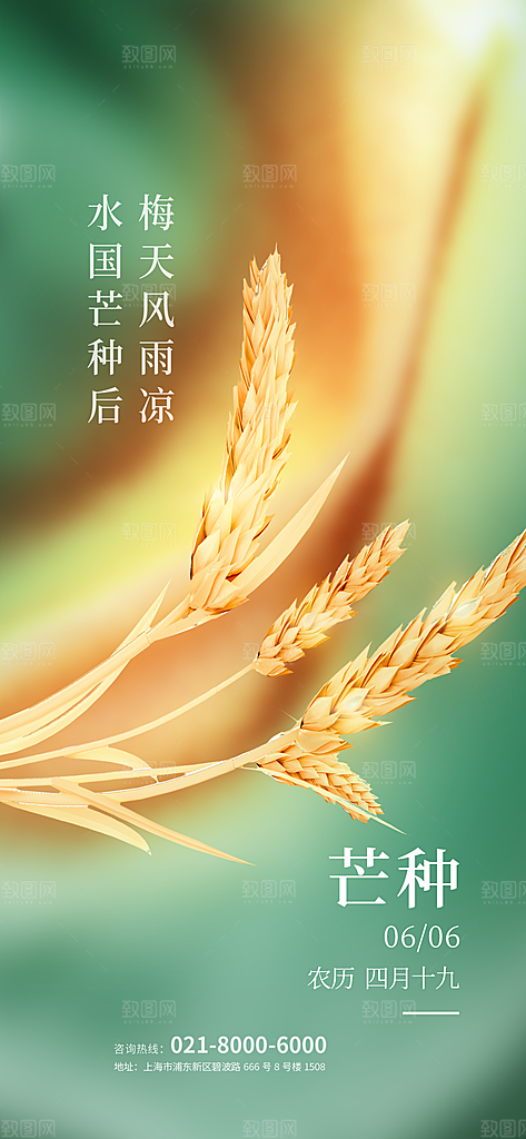 中国传统二十四节气芒种节气宣传海报