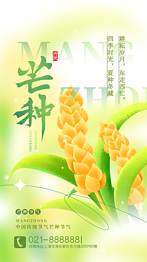 中国传统二十四节气芒种节气宣传海报