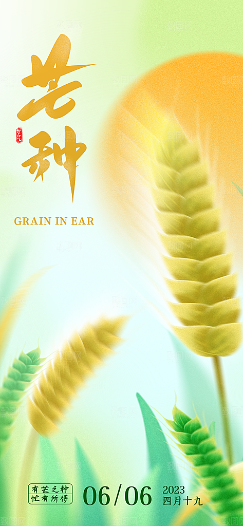 中国传统二十四节气芒种节气宣传海报