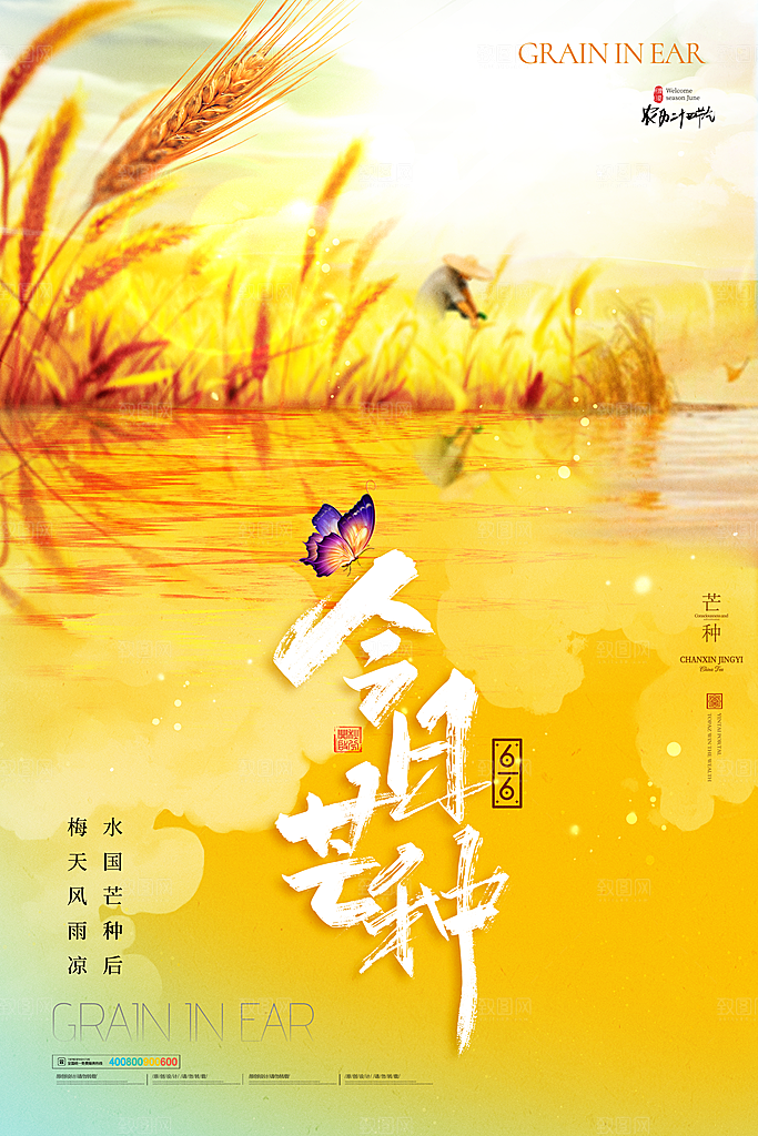 中国传统二十四节气芒种节气宣传海报