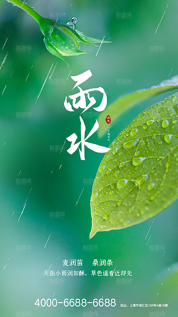 传统节气雨水海报模板