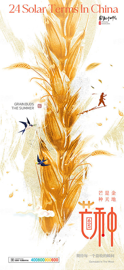 中国传统二十四节气芒种节气宣传海报