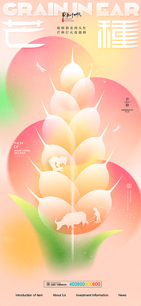 中国传统二十四节气芒种节气宣传海报