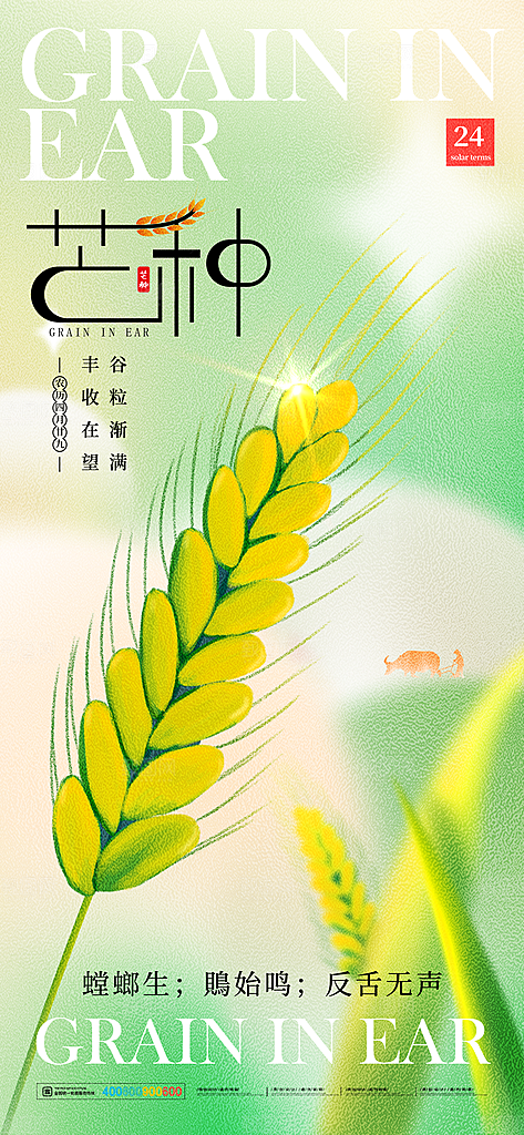 中国传统二十四节气芒种节气宣传海报