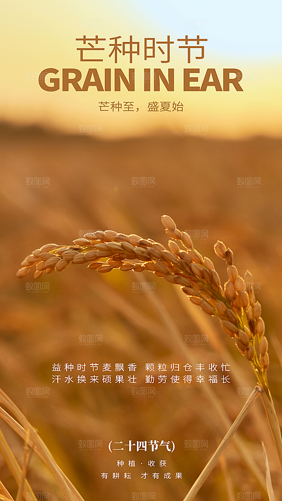 中国传统二十四节气芒种节气宣传海报