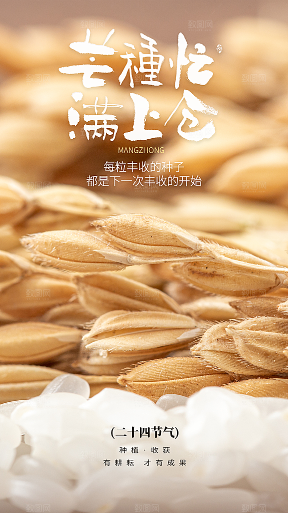 中国传统二十四节气芒种节气宣传海报