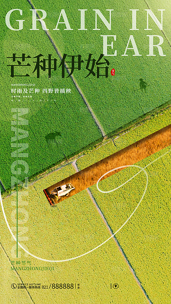 中国传统二十四节气芒种节气宣传海报