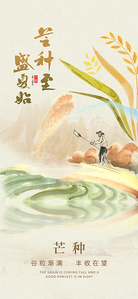 中国传统二十四节气芒种节气宣传海报